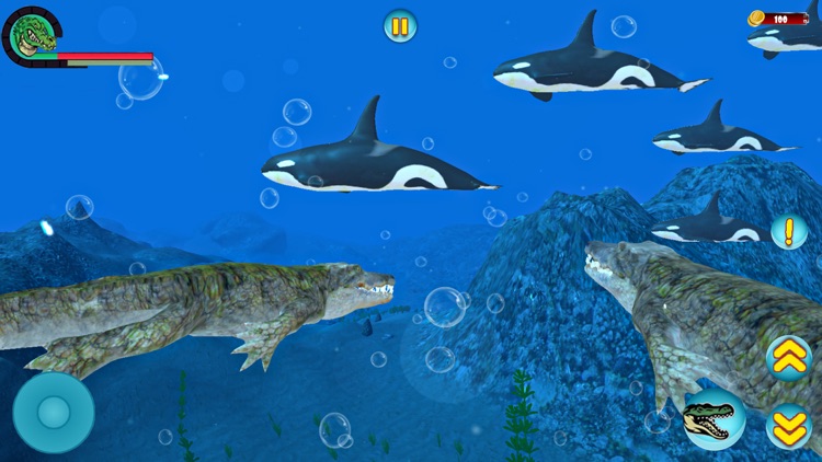 Hungry Underwater Crocodile