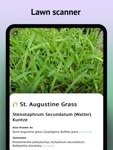 Grass identifier app iPad screenshot