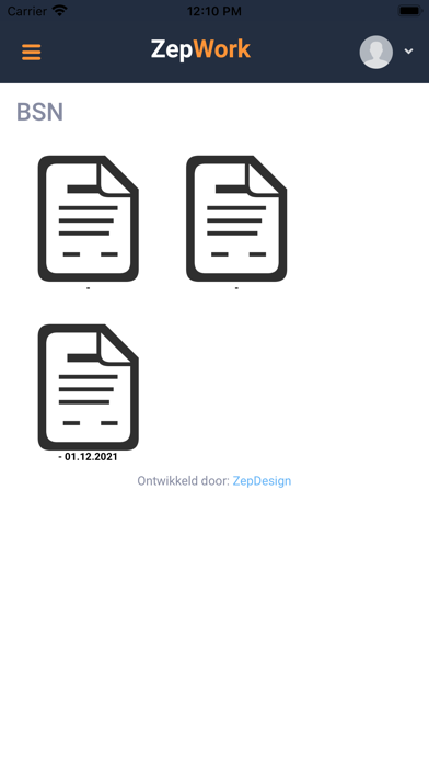 ZepWork Screenshot