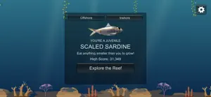Florida Fish Life screenshot 3