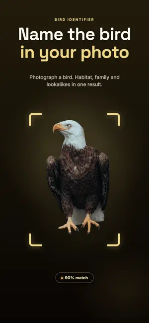 Bird Identifier: Species ID screenshot 1
