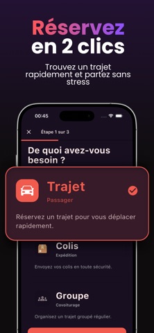 BraDrive screenshot