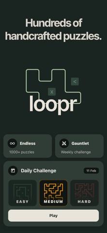loopr: Yajilin Logic Puzzles iPhone screenshot