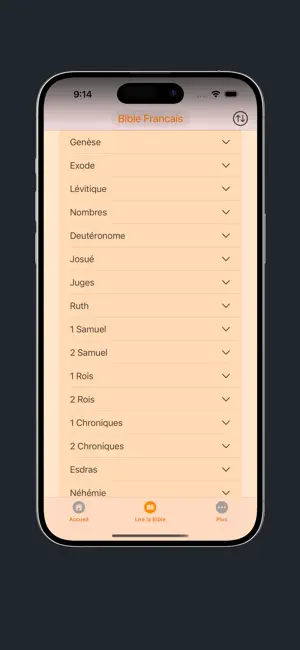 Bible Francais - French Bible screenshot 4