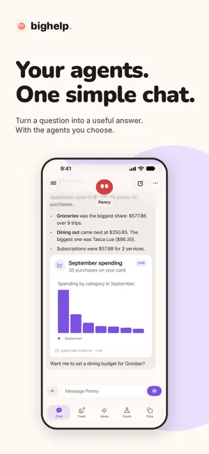 bighelp screenshot 1