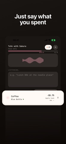 Sakura - Voice Expense Tracker Screenshot 4 of 9
