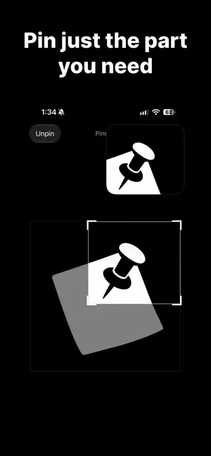 Pinit: PiP Anything screenshot 3