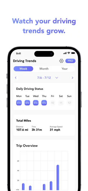Pathloop: Drive Route Tracker screenshot 3