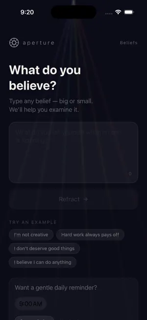 Unexamined screenshot 3
