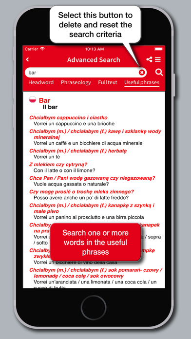 Hoepli Polish Dictionary Screenshot