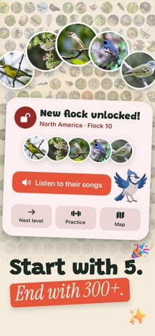 Syrinx: Learn Bird Songs Screenshot 3 of 10
