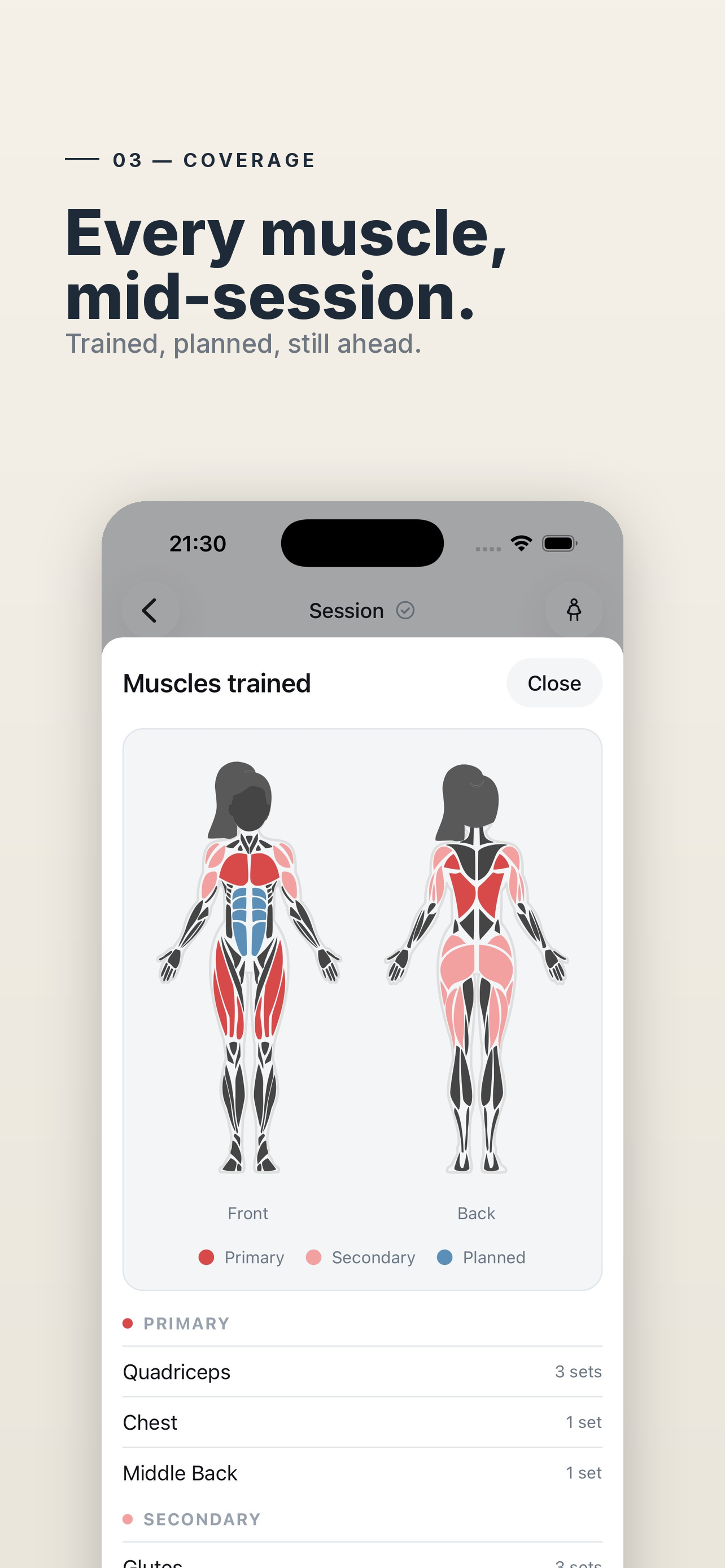 Iron Auditor: Gym Log