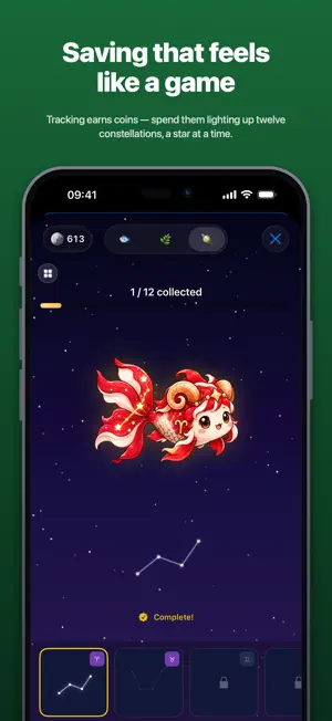 Milli: Budget Expense Tracker screenshot 3