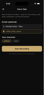 StageReady: AI Scene Partner screenshot 5