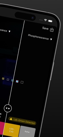 PRESIDIUM - Detect LGD with AI screenshot