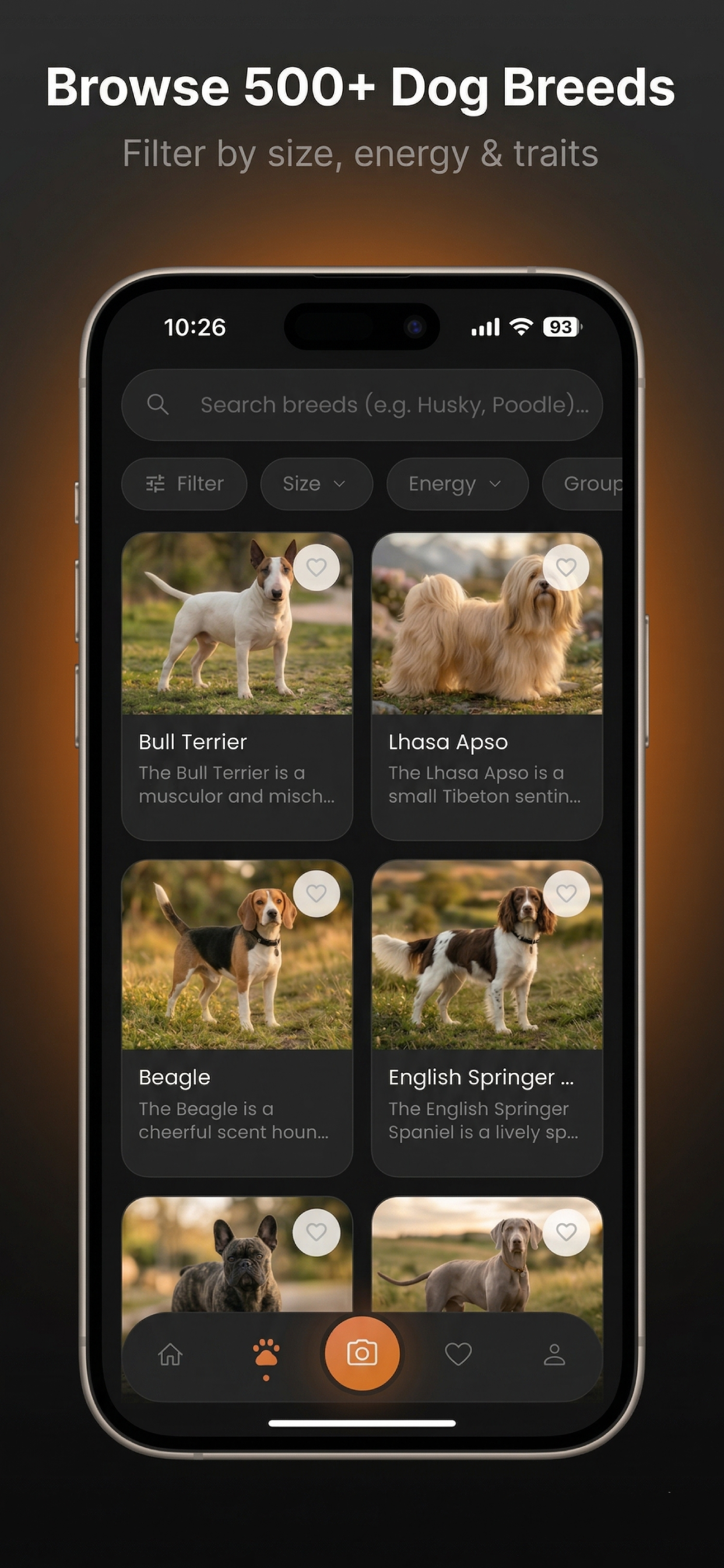Dog Identifier : Breed Scanner