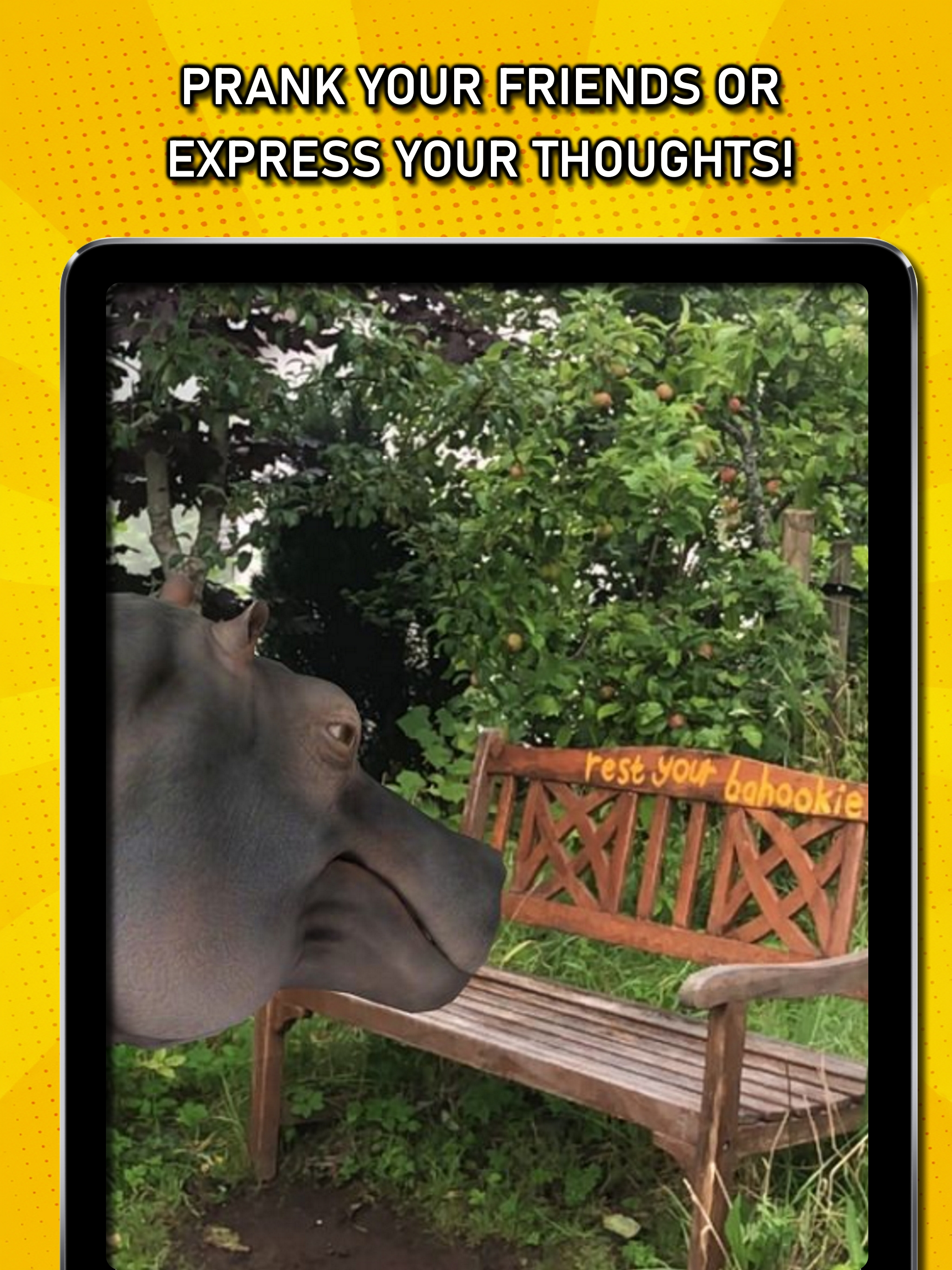 Eugene's AR Wiki: Play & Learn screenshot 16