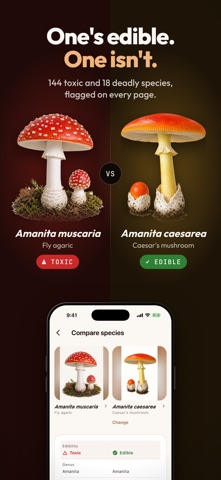 MicoAtlas - Mushroom Guide Screenshot 3 of 8