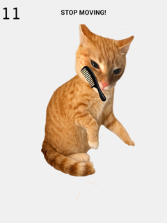 Brush The Cat screenshot 8