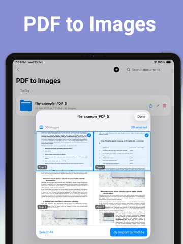 DocPI- PDF to Images iPad screenshot