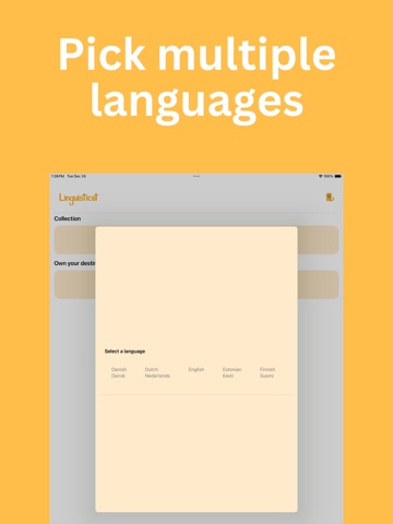 Linguisticat: Learn Languages iPad screenshot