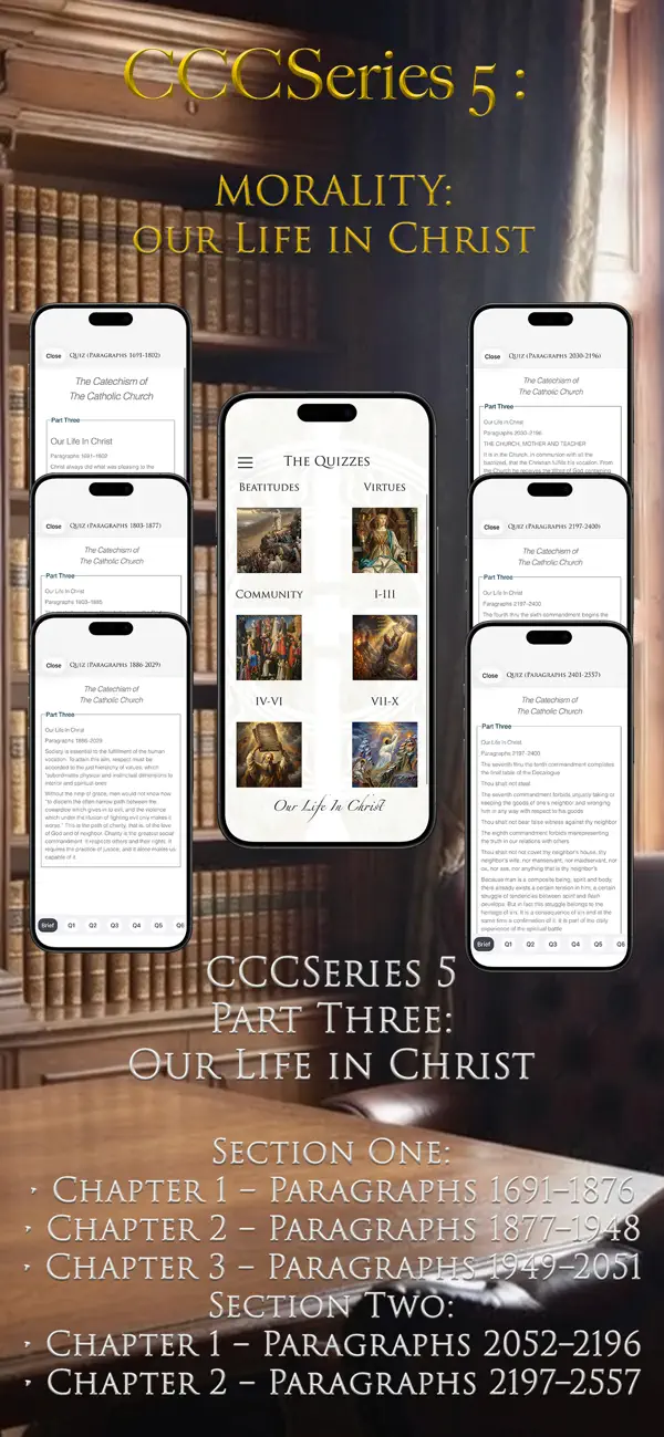 Screenshot #3 pour CCCSeries 5: Catechism Quiz