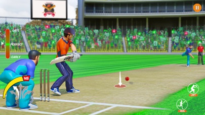 Cricket Champions League 25 Screenshot