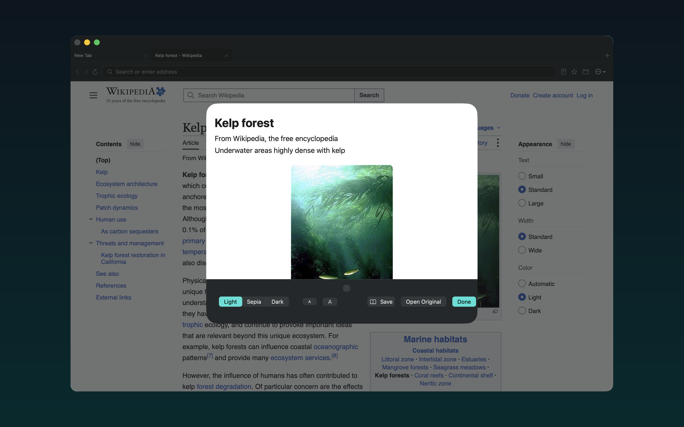 Surf: Private Browser & Files screenshot 15