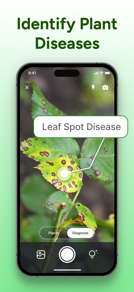 PlantCheck: Plant Identifier - This tool helps users quickly identify issues like 'Leaf Spot Disease' through visual scanning, providing prompt diagnosis with a dedicated 'Diagnose' button.