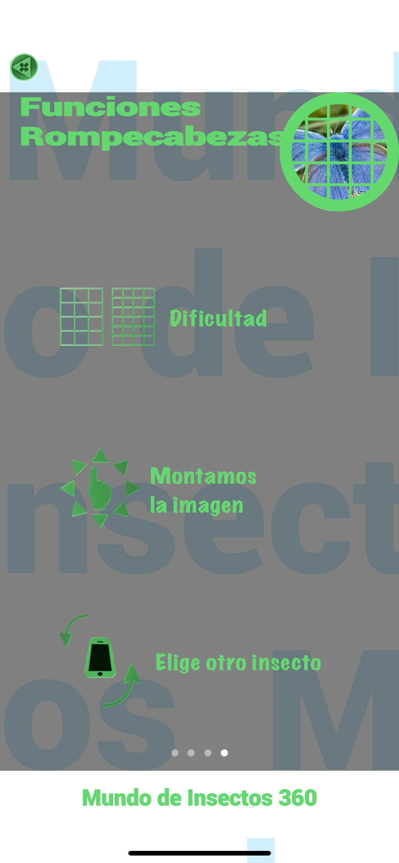 Insectos y arañas