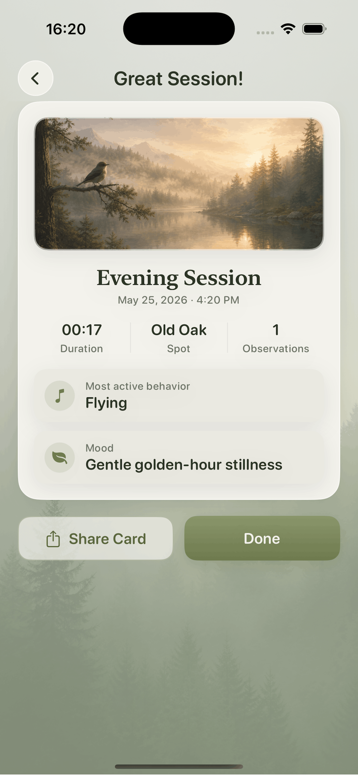 Bird Sit Spot screenshot 9