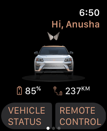 BluesensePlus App - XUV400