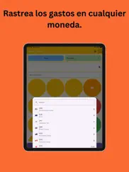 easy expense tracker app ipad capturas de pantalla 3