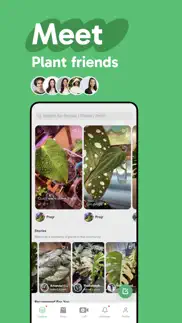 palmstreet - buy plants live iphone screenshot 3