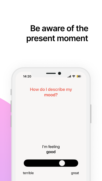 Flecto – better mental health Screenshot
