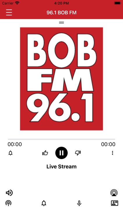 96.1 Bob FM KSRV