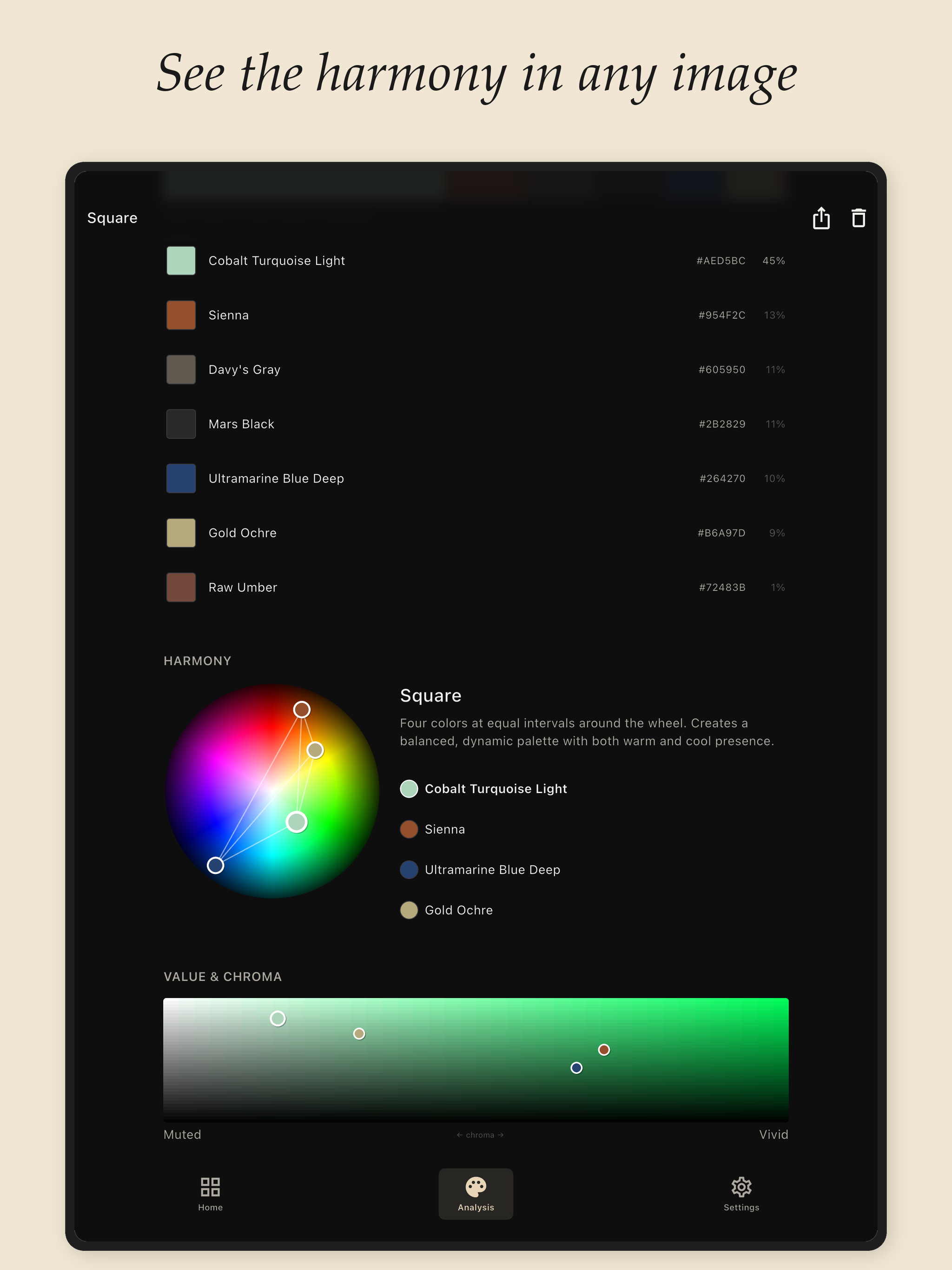 Undertone - Color Analysis