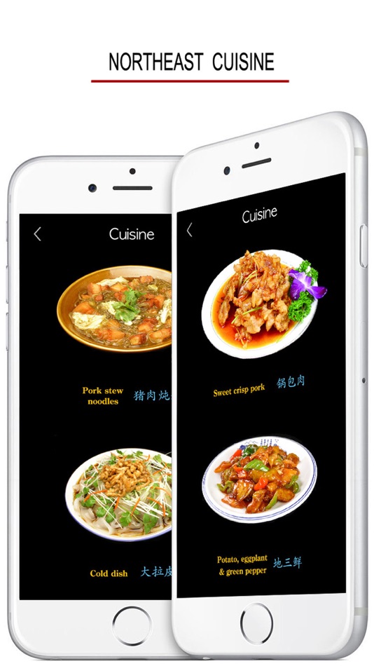 #5. Northeastern Chinese Dialect (iOS) 由: 俊 姜