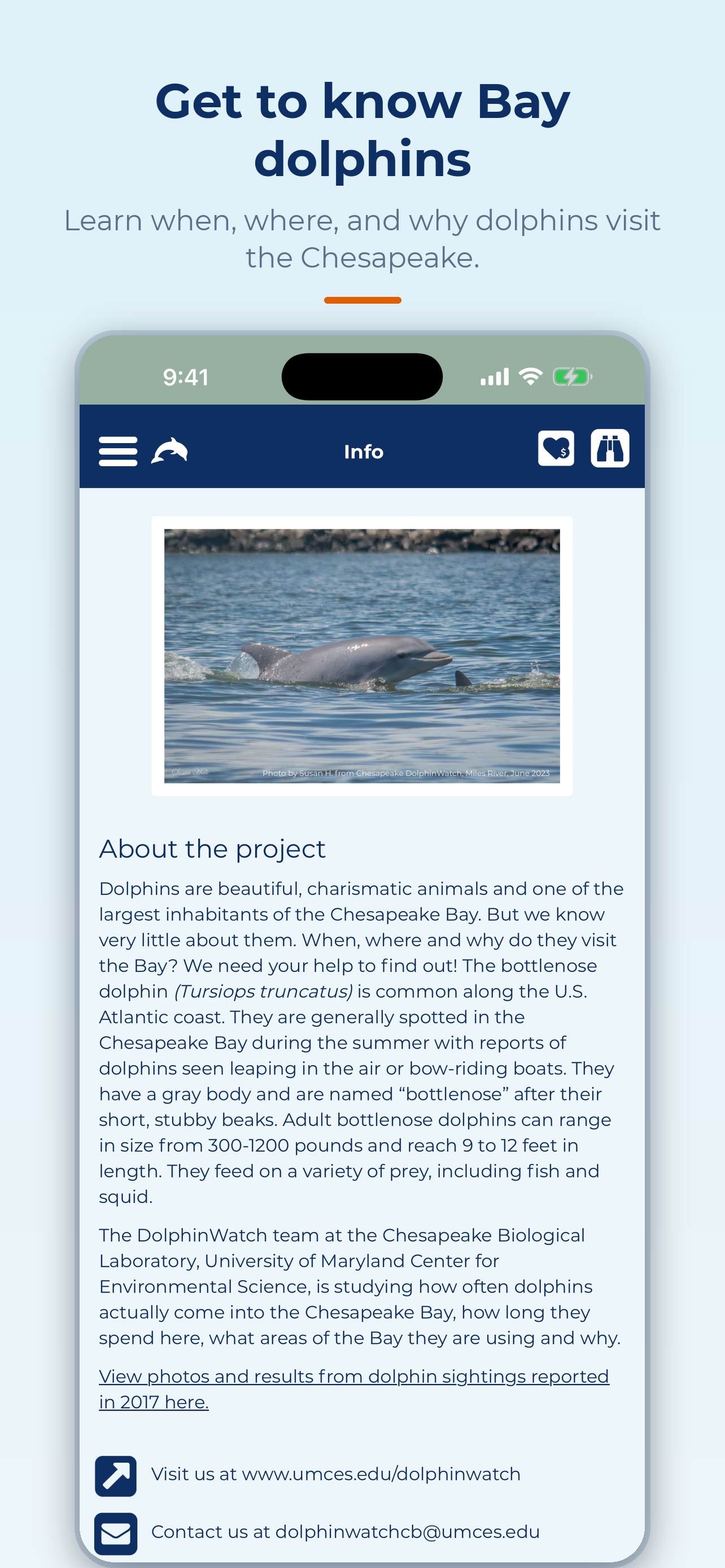 Chesapeake Dolphin Watch screenshot 5