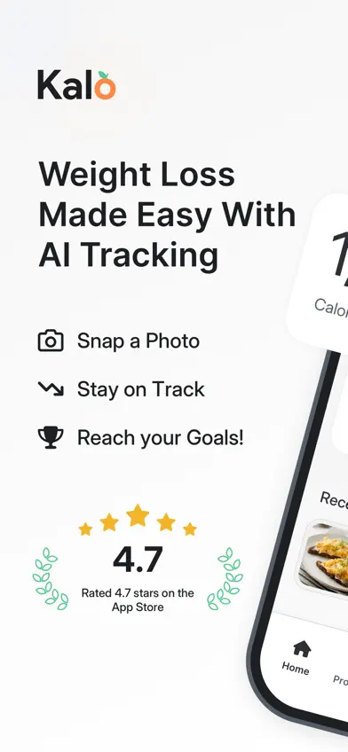 Kalo - AI Calorie Tracking screenshot 1