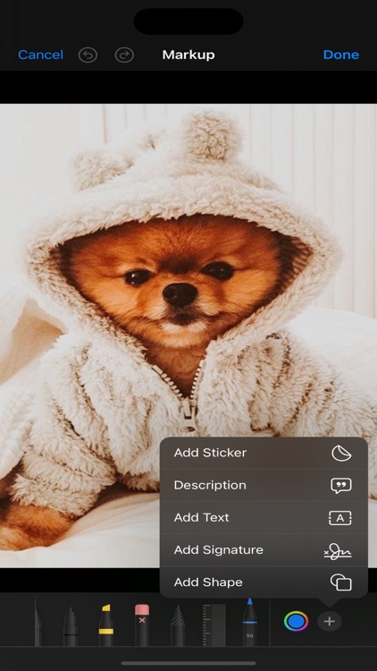 Preppy Dogs Wallpapers 4k