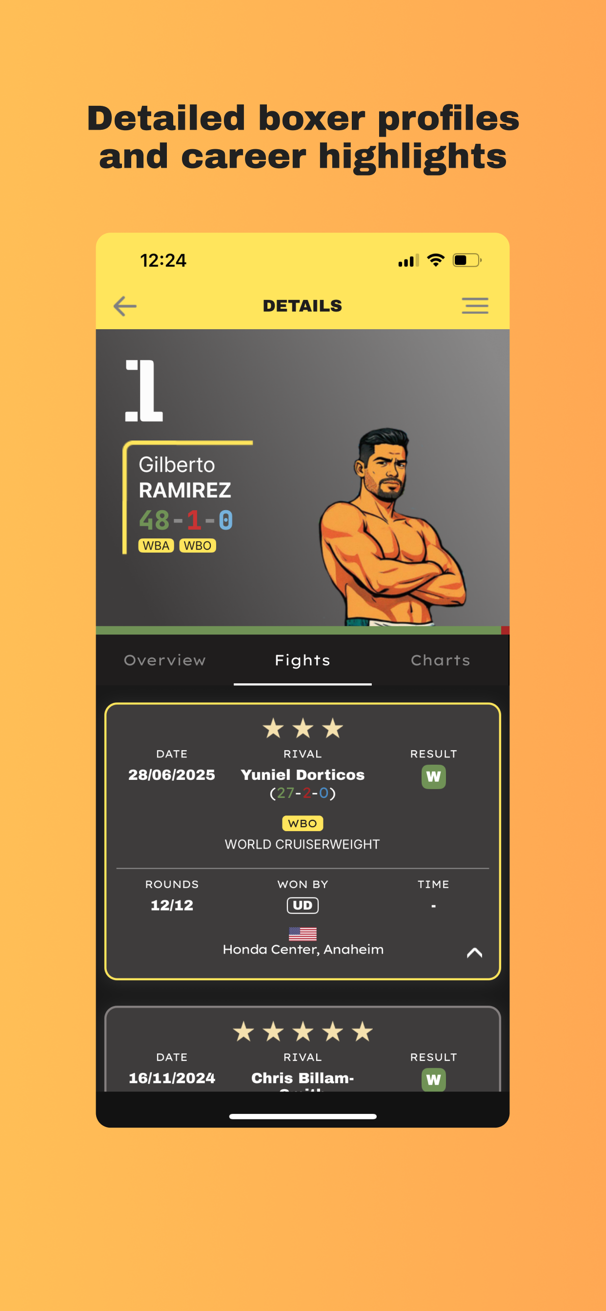 Rebokser screenshot 3