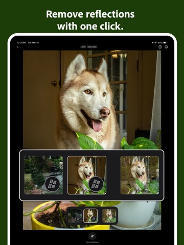 Project Indigo iPad screenshot 7