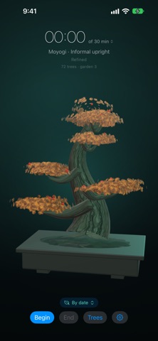 Still Bonsai screenshot 2