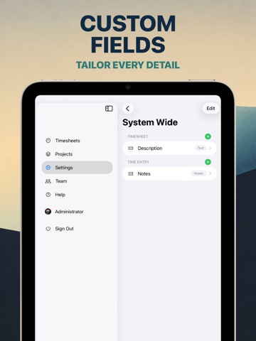 Time Entry for Business iPad screenshot
