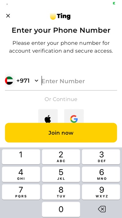 Ting Real Estate Network