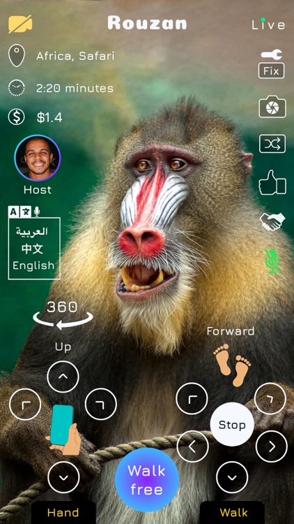 Rouzan - Live video tours