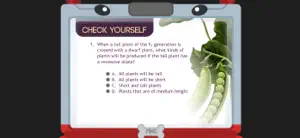 Monohybrid Cross - G8 screenshot 2