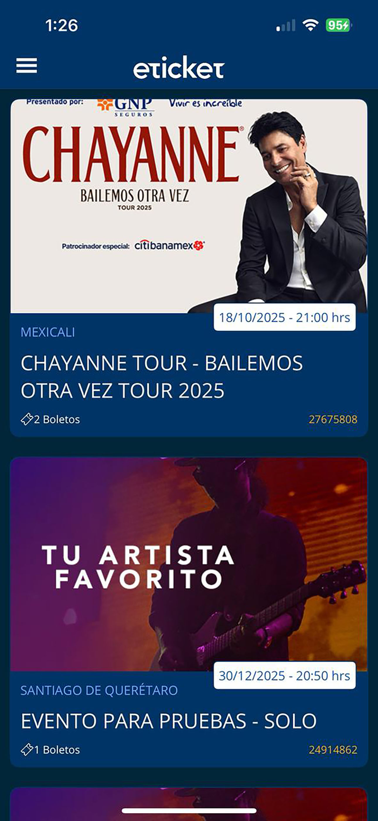 eticket screenshot 4