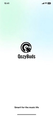 Qozybuds screenshot
